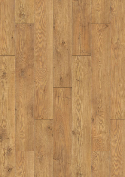 Tawny Chestnut