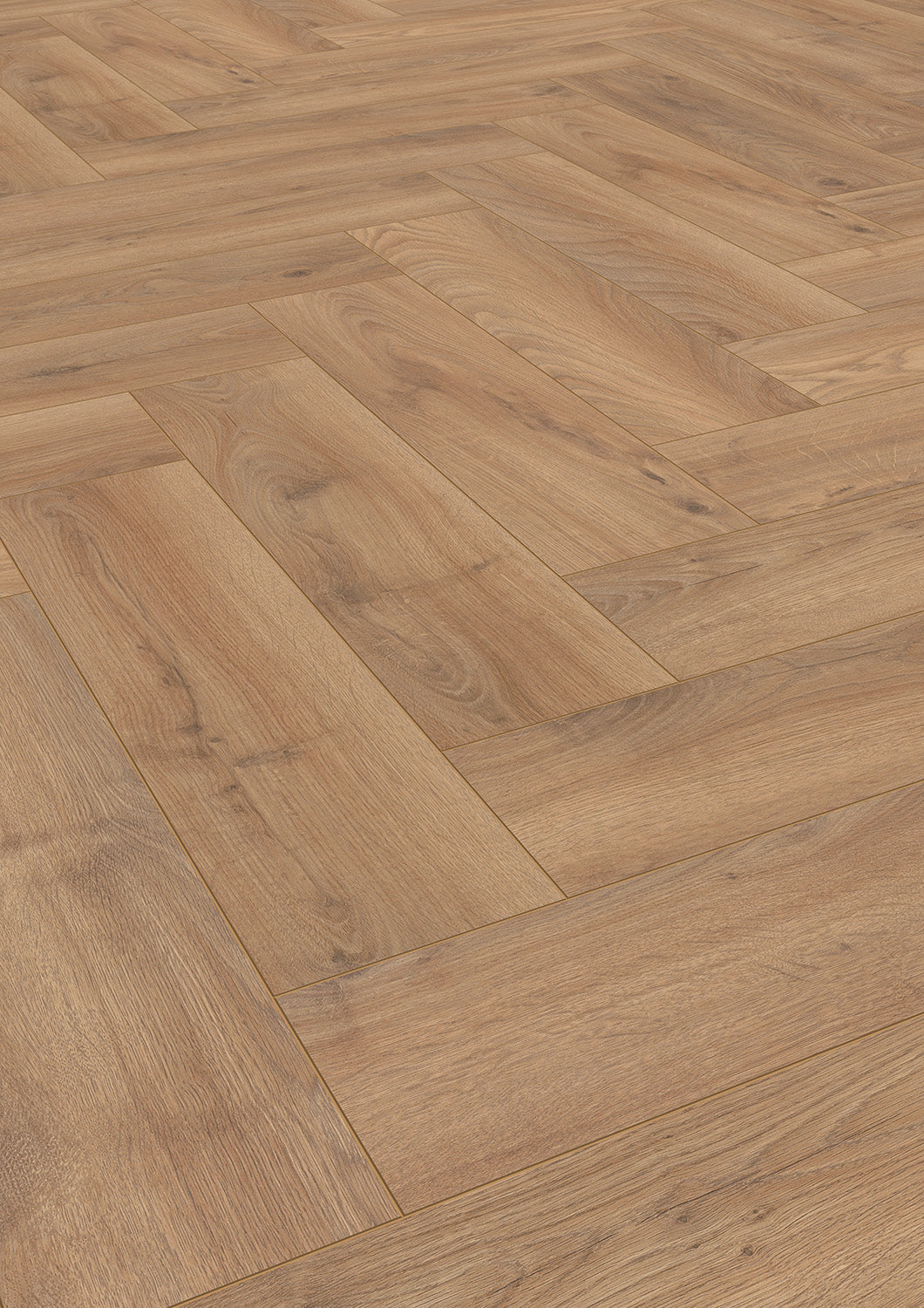 Historic Oak 1251