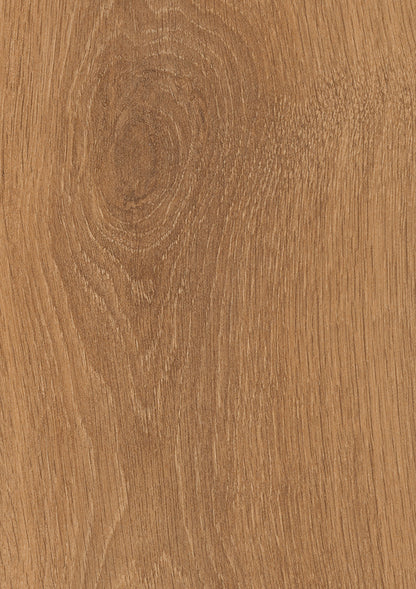 Harlech Oak 1275