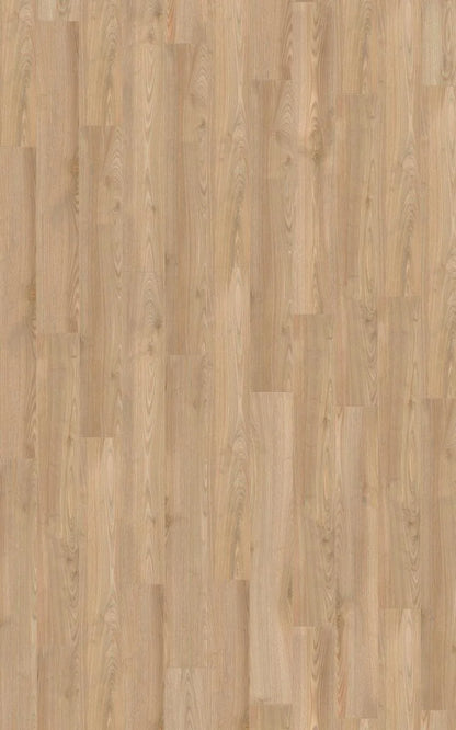 Salisbury Chestnut Dark 7500