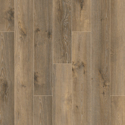 Andromeda Oak 4590