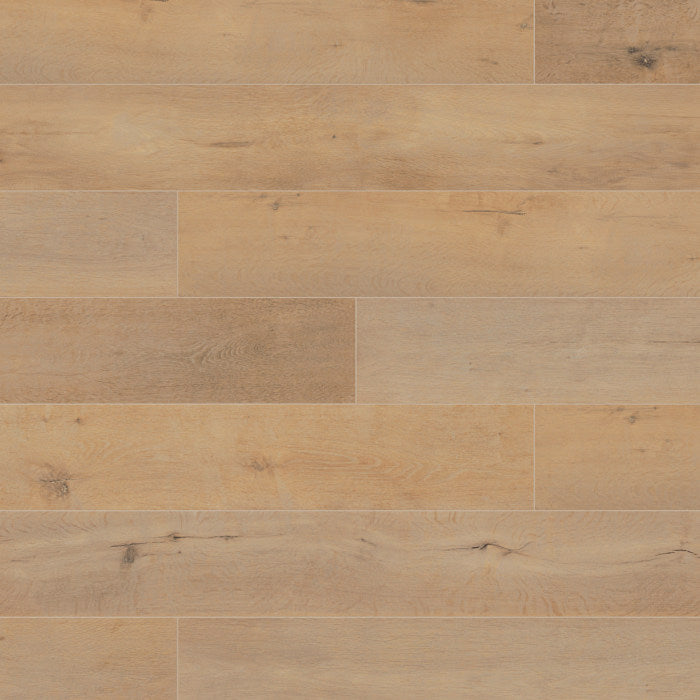 Hayfield Oak k266