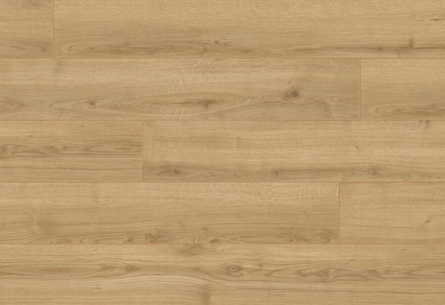 Adaja Oak 7902