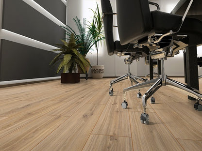Phalsbourg Oak 1184